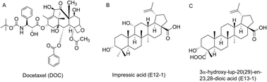 Graphical abstract: Synergistic effects and mechanisms of impressic acid or acankoreanogein in combination with docetaxel on prostate cancer