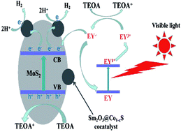 Graphical abstract: Synergistic effect of rare earth metal Sm oxides and Co1−xS on sheet structure MoS2 for photocatalytic hydrogen evolution