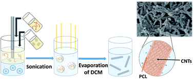 Graphical abstract: Facile production of nanocomposites of carbon nanotubes and polycaprolactone with high aspect ratios with potential applications in drug delivery