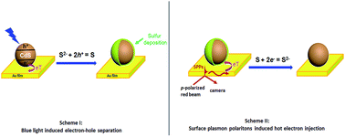Graphical abstract: Visualizing the bidirectional electron transfer in a Schottky junction consisting of single CdS nanoparticles and a planar gold film