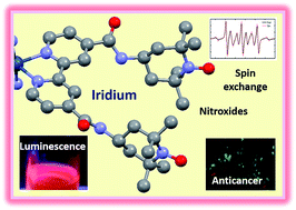 Graphical abstract: Mitochondria-targeted spin-labelled luminescent iridium anticancer complexes