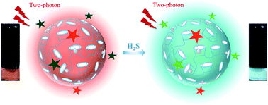 Graphical abstract: Supramolecular assembly affording a ratiometric two-photon fluorescent nanoprobe for quantitative detection and bioimaging