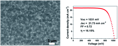 Graphical abstract: Improved air stability of perovskite hybrid solar cells via blending poly(dimethylsiloxane)–urea copolymers