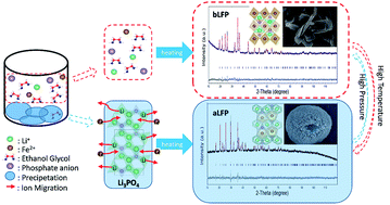 Graphical abstract: Controllable synthesis of LiFePO4 in different polymorphs and study of the reaction mechanism