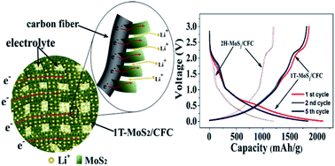 Graphical abstract: Metallic 1T MoS2 nanosheet arrays vertically grown on activated carbon fiber cloth for enhanced Li-ion storage performance