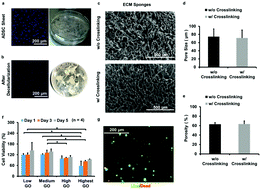 Graphical abstract: Genipin-crosslinked adipose stem cell derived extracellular matrix-nano graphene oxide composite sponge for skin tissue engineering