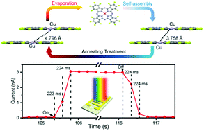 Graphical abstract: Crystal structure tuning in organic nanomaterials for fast response and high sensitivity visible-NIR photo-detector