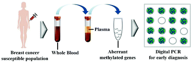 Graphical abstract: In vitro diagnosis of DNA methylation biomarkers with digital PCR in breast tumors