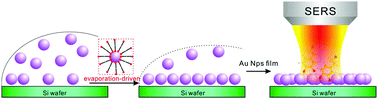Graphical abstract: Self-assembled two-dimensional gold nanoparticle film for sensitive nontargeted analysis of food additives with surface-enhanced Raman spectroscopy
