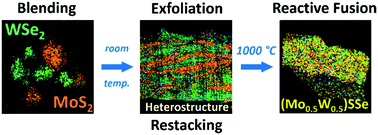 Graphical abstract: Multi-principal element transition metal dichalcogenides via reactive fusion of 3D-heterostructures