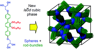 Graphical abstract: A skeletal double gyroid formed by single coaxial bundles of catechol based bolapolyphiles