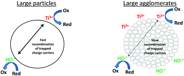 Graphical abstract: Photocatalytic activity and charge carrier dynamics of TiO2 powders with a binary particle size distribution