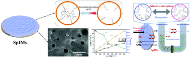 Graphical abstract: Bioinspired synthesis of SiO2/pDA-based nanocomposite-imprinted membranes with sol–gel imprinted layers for selective adsorption and separation applications