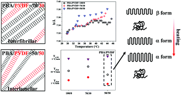 Graphical abstract: The dependence of the β-to-α phase transition behavior of poly(1,4-butylene adipate) on phase separated morphology in its blends with poly(vinylidene fluoride)