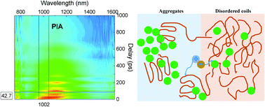 Graphical abstract: Understanding charge carrier dynamics in a P3HT:FLR blend