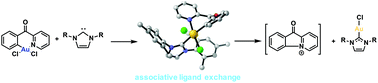 Graphical abstract: Direct intramolecular carbon(sp2)–nitrogen(sp2) reductive elimination from gold(iii)