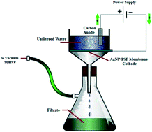 Graphical abstract: Anti-biofilm AgNP-polyaniline-polysulfone composite membrane activated by low intensity direct/alternating current