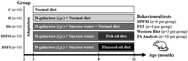 Graphical abstract: n-3 polyunsaturated fatty acids prevent d-galactose-induced cognitive deficits in prediabetic rats