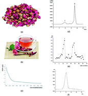 Graphical abstract: The chemical structure and anti-aging bioactivity of an acid polysaccharide obtained from rose buds