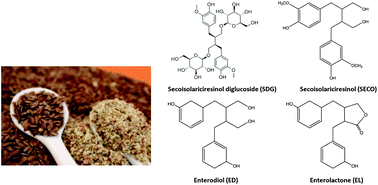 Graphical abstract: The effect of Lactobacillus acidophilus and Lactobacillus casei on the in vitro bioaccessibility of flaxseed lignans (Linum usitatissimum L.)