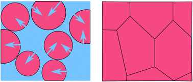 Graphical abstract: Theoretical investigation of the swelling of polysaccharide microgels in sugar solutions