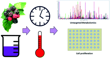 Graphical abstract: Storage conditions modulate the metabolomic profile of a black raspberry nectar with minimal impact on bioactivity