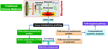 Graphical abstract: Correlation of drug-induced and drug-related ultra-high performance liquid chromatography-mass spectrometry serum metabolomic profiles yields discovery of effective constituents of Sini decoction against myocardial ischemia in rats