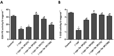 Graphical abstract: The protective effects of selenium-enriched spirulina on the reproductive system of male zebrafish (Danio rerio) exposed to beta-cypermethrin