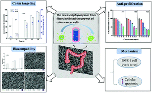 Graphical abstract: Targeted delivery of phycocyanin for the prevention of colon cancer using electrospun fibers
