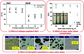 Graphical abstract: Collagen peptide-loaded W1/O single emulsions and W1/O/W2 double emulsions: influence of collagen peptide and salt concentration, dispersed phase fraction and type of hydrophilic emulsifier on droplet stability and encapsulation efficiency