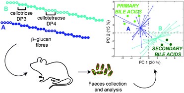 Graphical abstract: Structurally different mixed linkage β-glucan supplements differentially increase secondary bile acid excretion in hypercholesterolaemic rat faeces