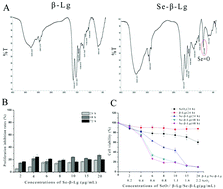 Graphical abstract: Antitumor activity of selenium modification of the bovine milk component β-Lg (Se-β-Lg) on H22 cells