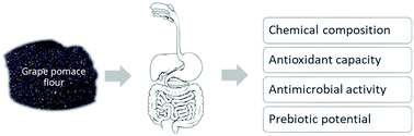 Graphical abstract: Impact of in vitro gastrointestinal digestion on the chemical composition, bioactive properties, and cytotoxicity of Vitis vinifera L. cv. Syrah grape pomace extract