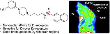 Graphical abstract: Synthesis and pre-clinical evaluation of a potential radiotracer for PET imaging of the dopamine D3 receptor