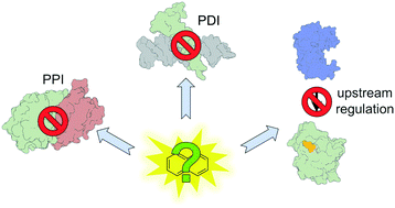Graphical abstract: Chemical modulation of transcription factors