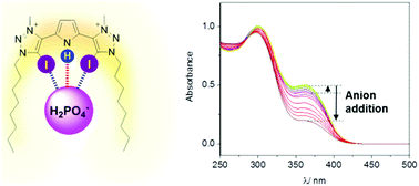 Graphical abstract: A pyrrole-containing cleft-type halogen bonding receptor for oxoanion recognition and sensing in aqueous solvent media