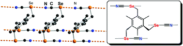 Graphical abstract: Chalcogen bonding interactions in organic selenocyanates: from cooperativity to chelation