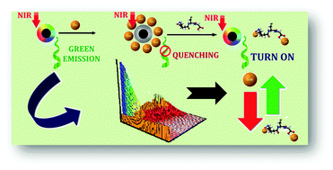 Graphical abstract: NIR upconversion characteristics of carbon dots for selective detection of glutathione