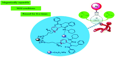 Graphical abstract: Synthesis and characterization of Co3O4 immobilized on dipeptide-functionalized silica-coated magnetite nanoparticles as a catalyst for the selective aerobic oxidation of alcohols
