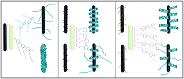 Graphical abstract: Polymer wrapping versus well-oriented crystal growth of polythiophenes onto multi-wall carbon nanotubes via surface chemical modification and regioregularity deliberation