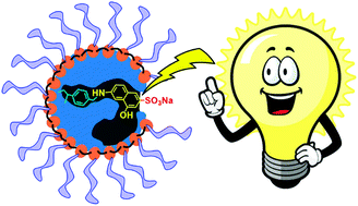 Graphical abstract: Fluorescent nanoparticle sensors with tailor-made recognition units and proximate fluorescent reporter groups