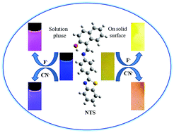 Graphical abstract: Excited state proton transfer (ESIPT) based molecular probe to sense F− and CN− anions through a fluorescence “turn-on” response