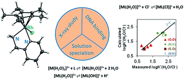 Graphical abstract: Structural and solution equilibrium studies on half-sandwich organorhodium complexes of (N,N) donor bidentate ligands