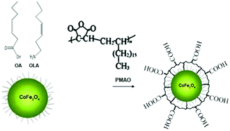 Graphical abstract: Polymer-coated cobalt ferrite nanoparticles: synthesis, characterization, and toxicity for hyperthermia applications