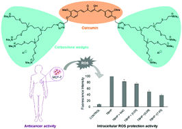 Graphical abstract: New bow-tie cationic carbosilane dendritic system with a curcumin core as an anti-breast cancer agent