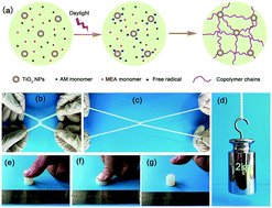 Graphical abstract: High strength and anti-fatigue nanocomposite hydrogels prepared via self-initiated free radical polymerization triggered by daylight