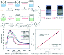 Graphical abstract: Highly selective colorimetric sensing of Cu2+ using a Schiff base derivative immobilized on polyvinyl alcohol microspheres