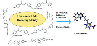 Graphical abstract: Synthesis, docking studies and in vitro evaluation of novel chalcones as potent inhibitors of phosphodiesterase 5 from human platelets and 5A from bovine recombinant