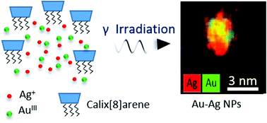 Graphical abstract: Stabilisation of small mono- and bimetallic gold–silver nanoparticles using calix[8]arene derivatives