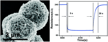 Graphical abstract: Synthesis and trimethylamine sensing properties of spherical V2O5 hierarchical structures